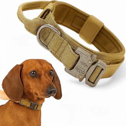 TactiPup™-Dachshund-Tactical-Collar-Leash.jpg