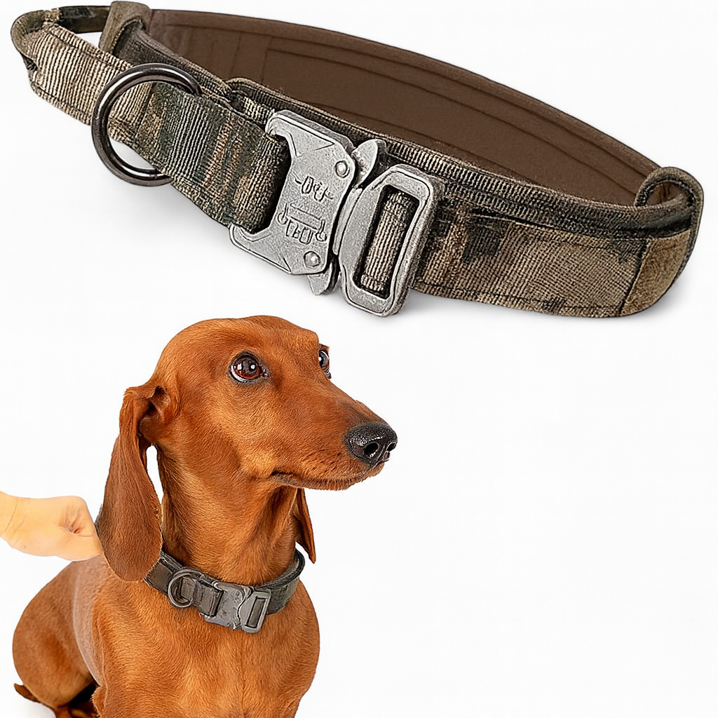 TactiPup™-Dachshund-Tactical-Collar-Leash.jpg