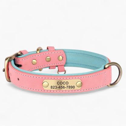 Taggio-Dachshund-Engraved-Collar.jpg