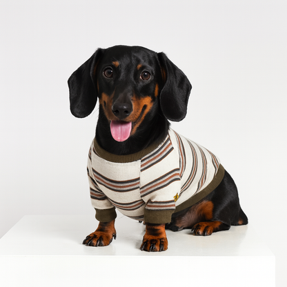Tailvent-Dachshund-Striped-Sweatshirt.jpg