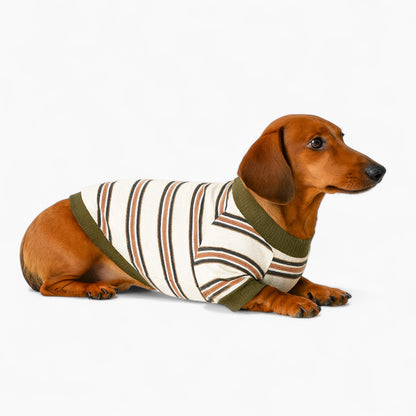 Tailvent-Dachshund-Striped-Sweatshirt.jpg