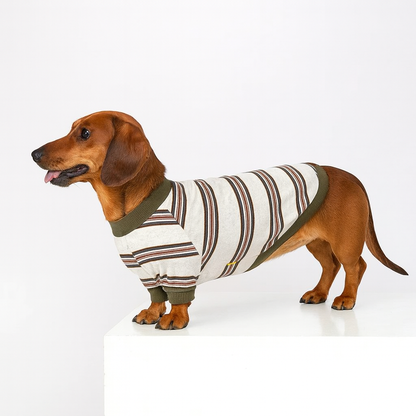 Tailvent-Dachshund-Striped-Sweatshirt.jpg