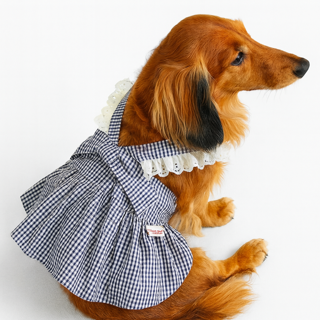 Tailvera-Dachshund-Summer-Skirt.jpg