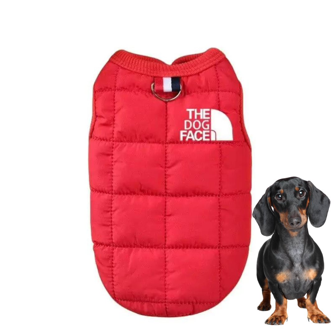 The-Dog-Face-Doxie-Vest-Jacket-www.doxie.us