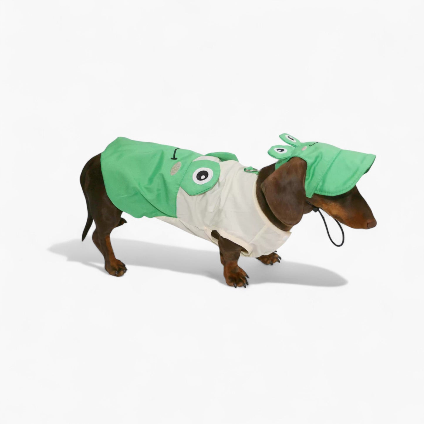 ToadFit-Dachshund-Summer-Suit.jpg