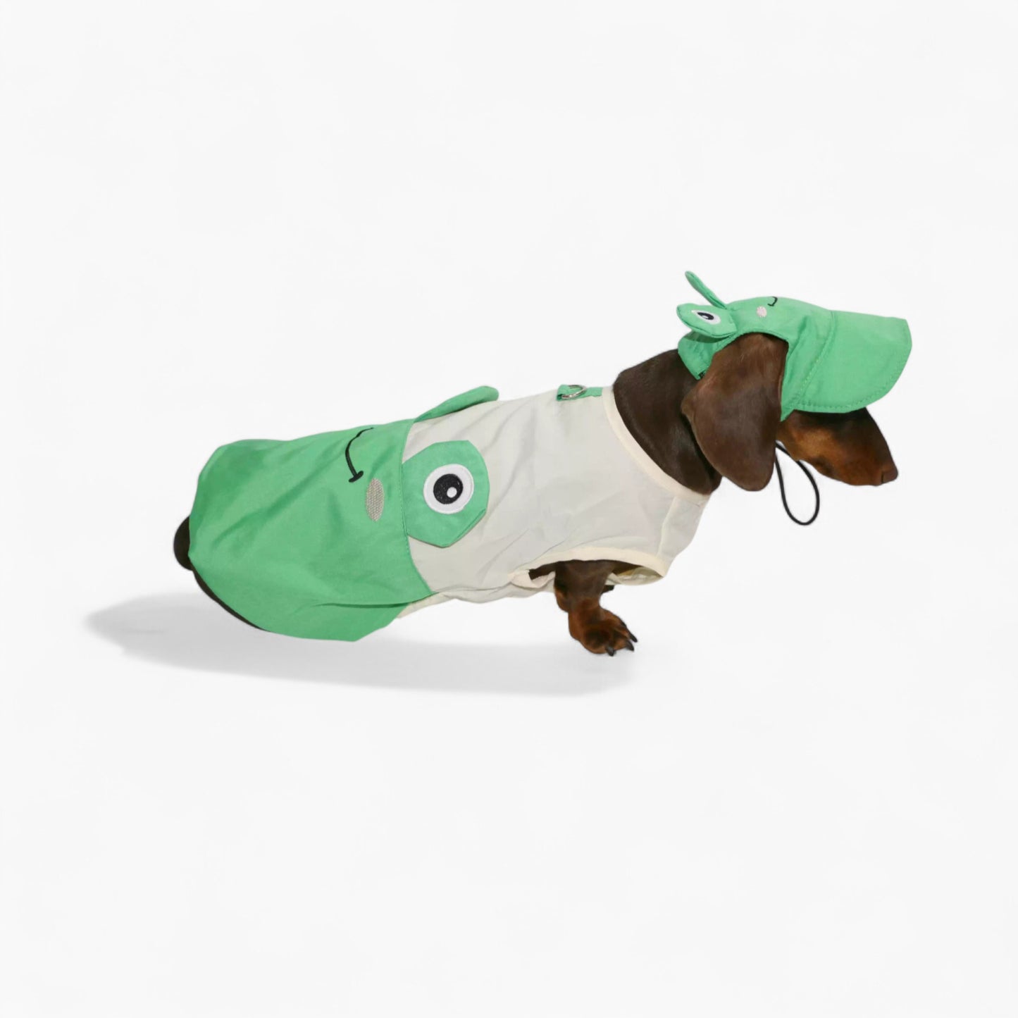 ToadFit-Dachshund-Summer-Suit.jpg