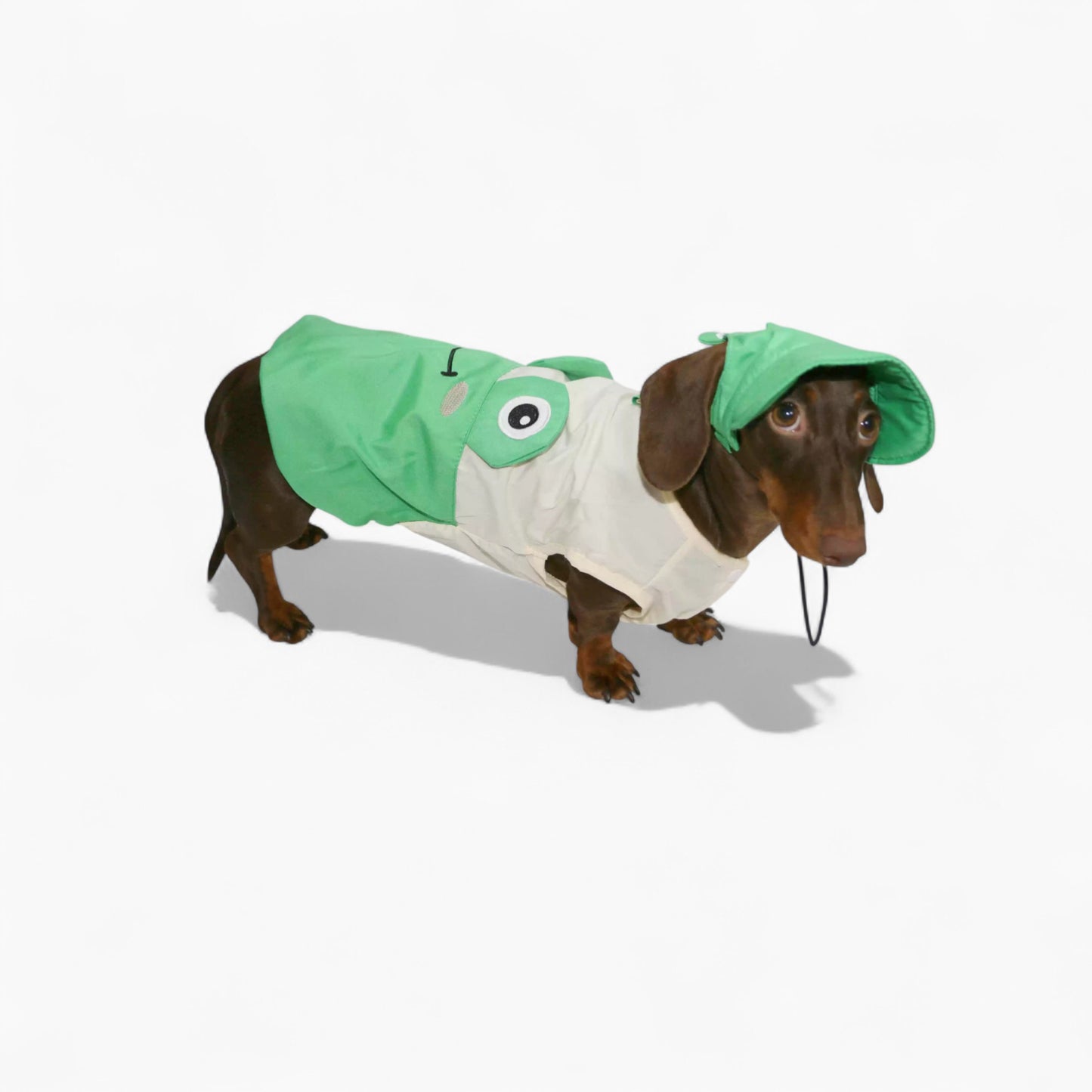 ToadFit-Dachshund-Summer-Suit.jpg