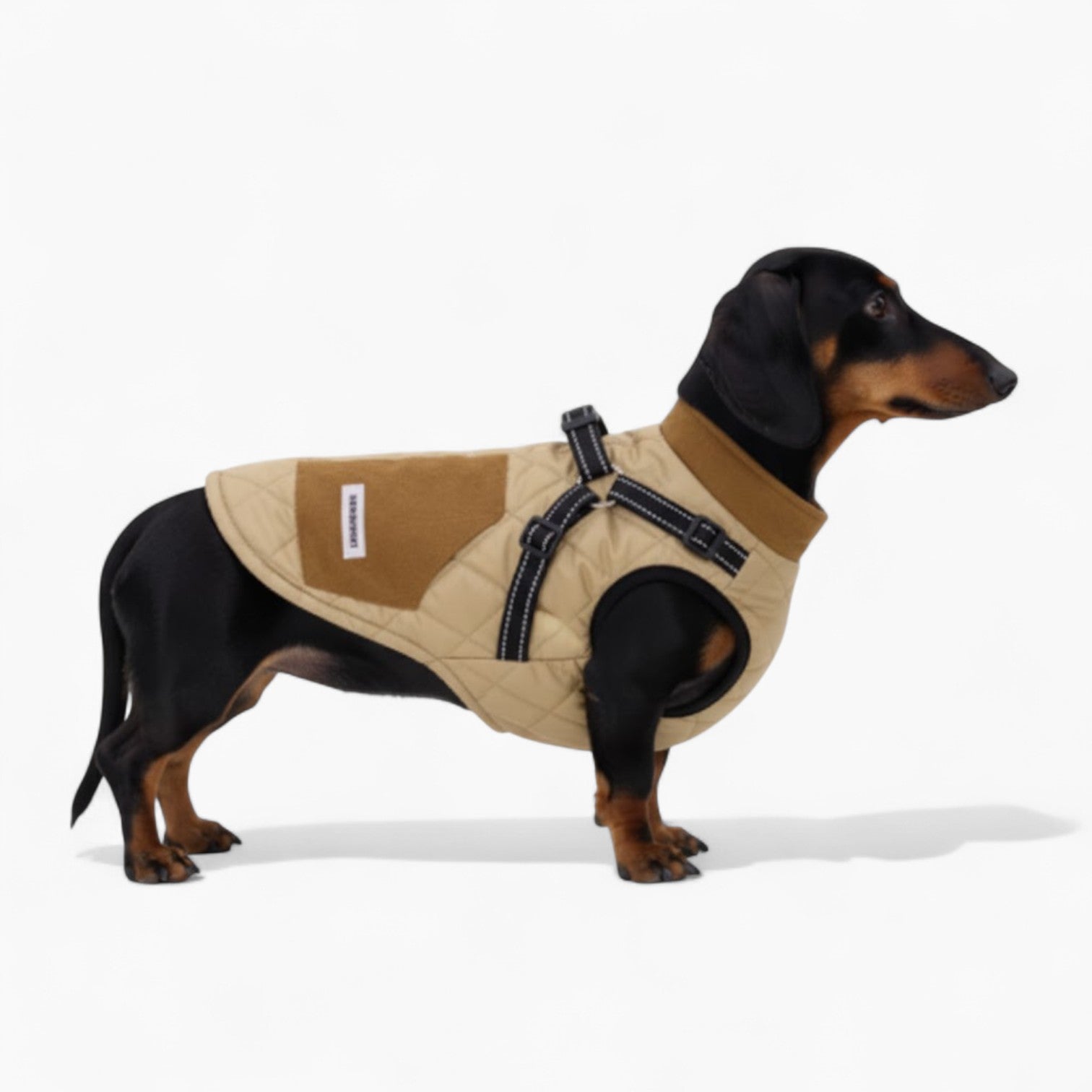 TrailPup-Dachshund-Traction-Vest.jpg
