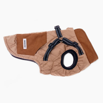 TrailPup-Dachshund-Traction-Vest.jpg