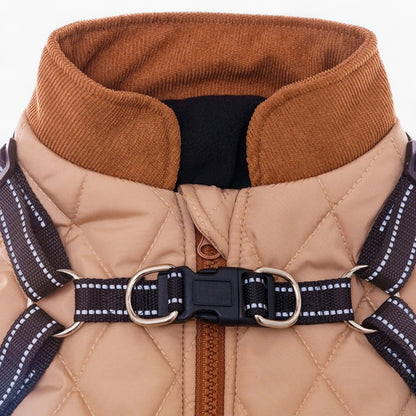 TrailPup-Dachshund-Traction-Vest.jpg
