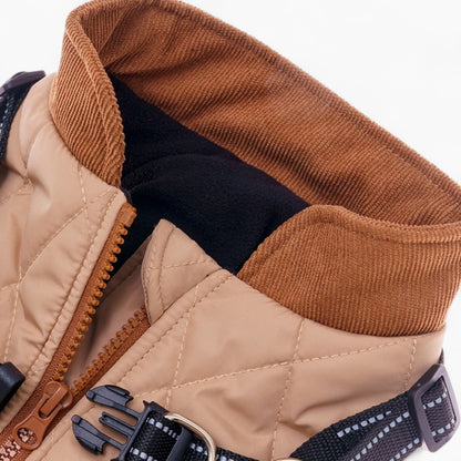 TrailPup-Dachshund-Traction-Vest.jpg