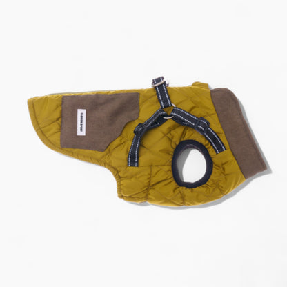 TrailPup-Dachshund-Traction-Vest.jpg