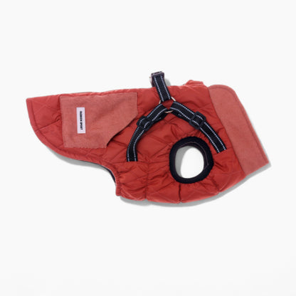 TrailPup-Dachshund-Traction-Vest.jpg