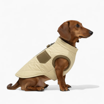 TrailPup-Dachshund-Winter-Vest.jpg