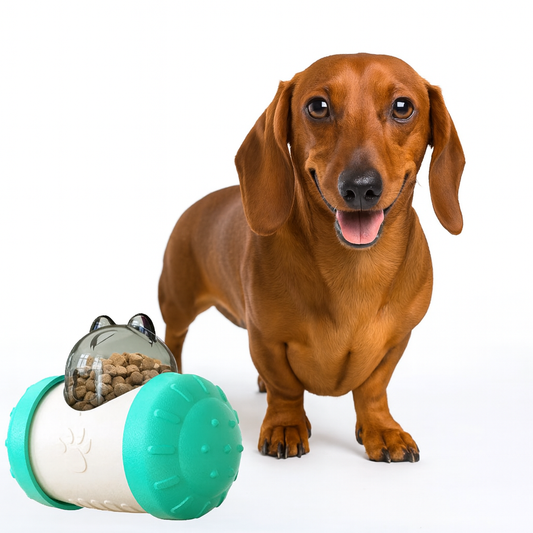 TreatRoll-Dachshund-Interactive-Tumbler.jpg
