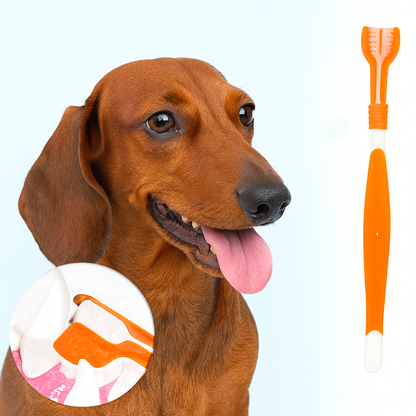 TriClean-Dachshund-Toothbrush.jpg