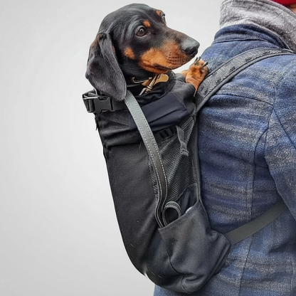 Backpack carrier for dachshunds with back support, view 2
