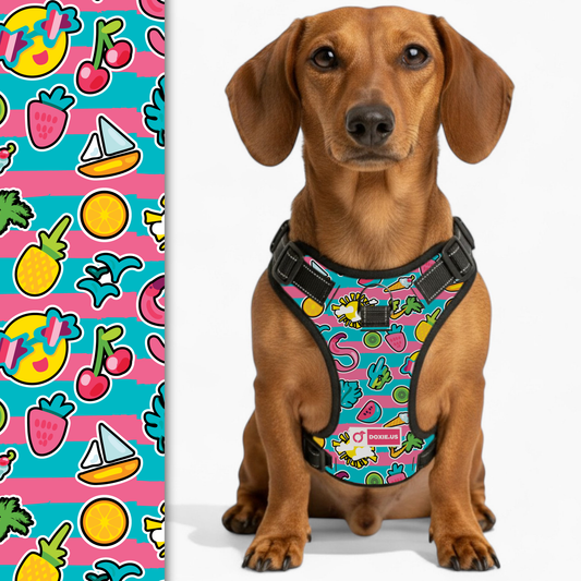Franz -  No-Pull Dachshund Dog Harness