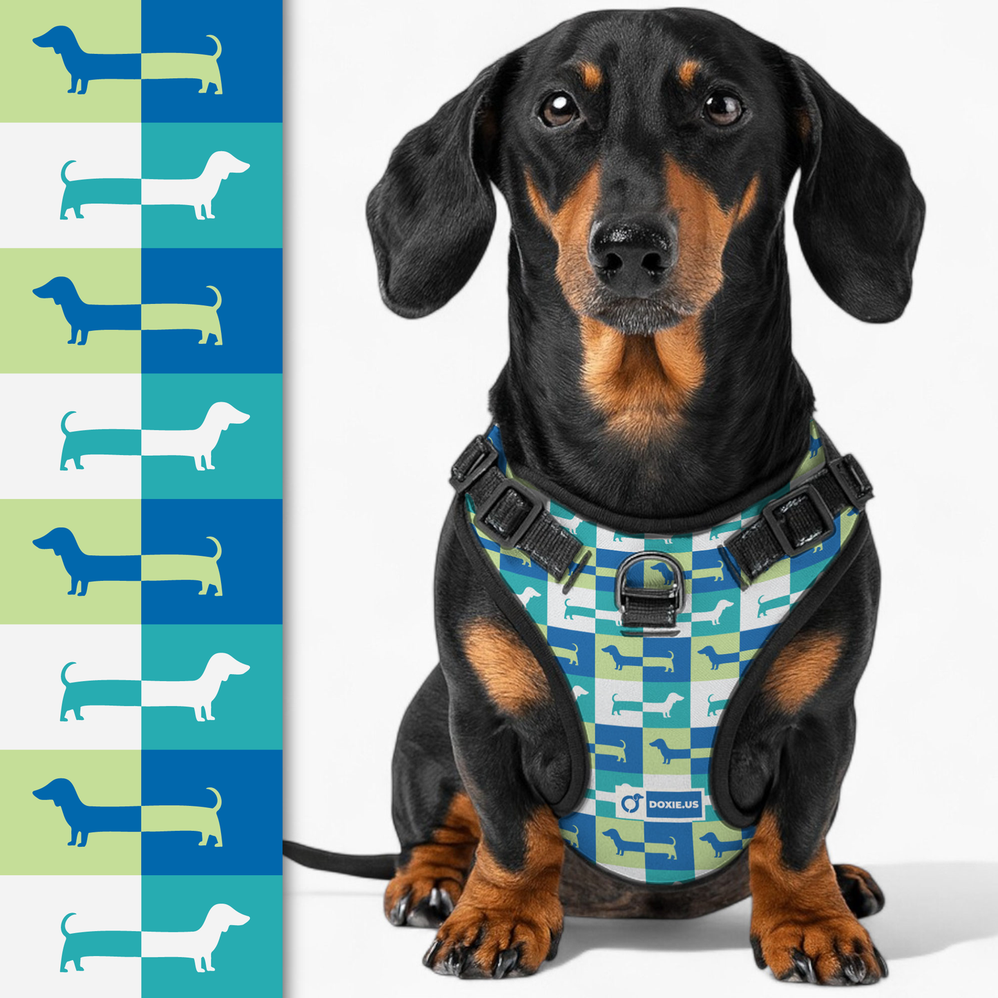 Hans -  No-Pull Dachshund Dog Harness
