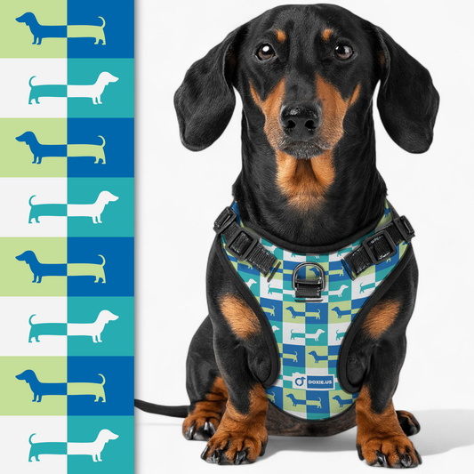 Hans -  No-Pull Dachshund Dog Harness