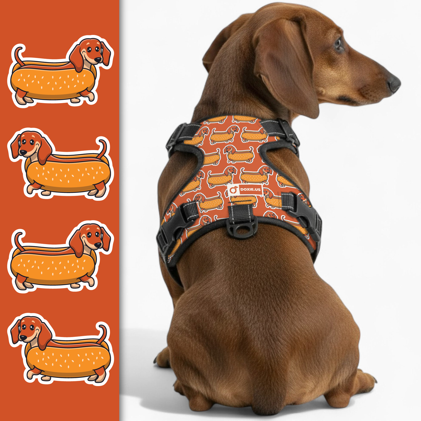 Monty -  No-Pull Dachshund Dog Harness