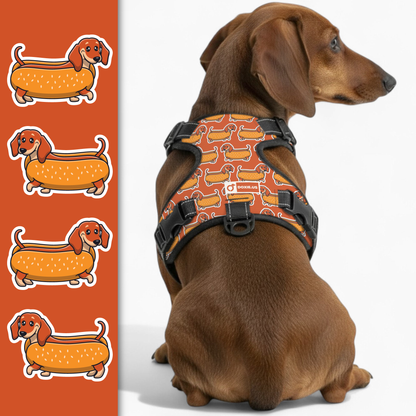 Monty -  No-Pull Dachshund Dog Harness