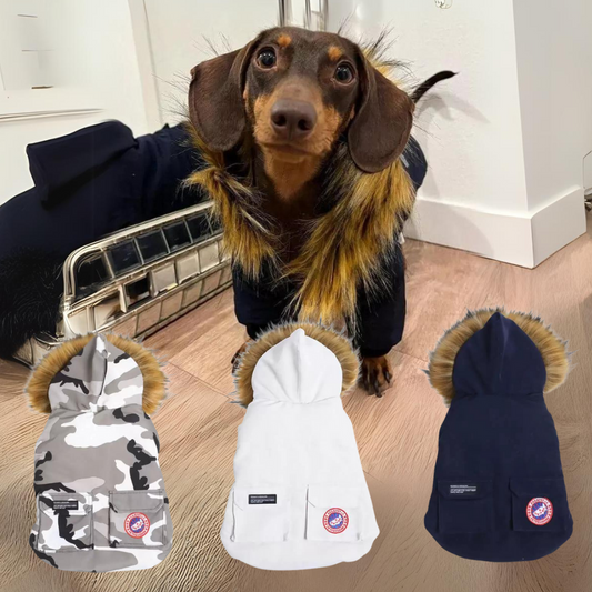 CozyTail Dachshund Winter Coat