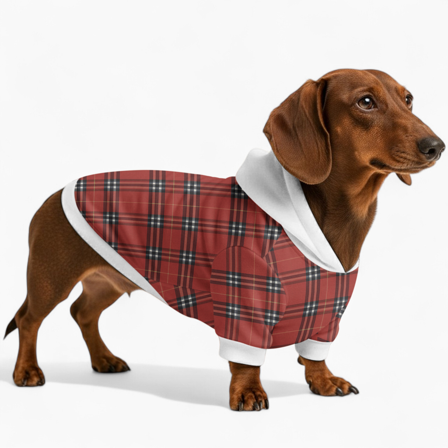Ella - Dachshund hoodie