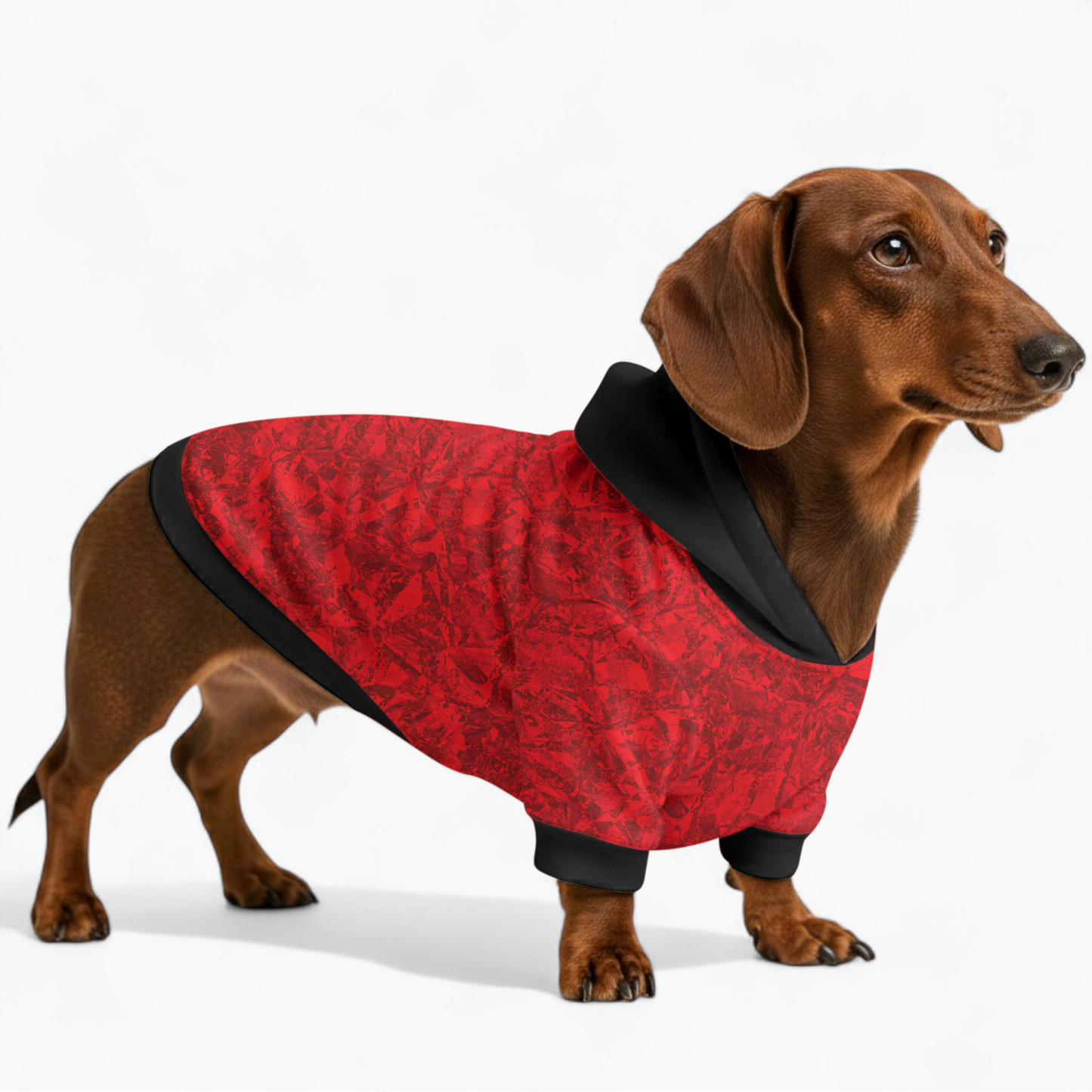 Ginger - Dachshund hoodie