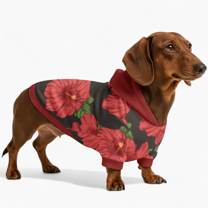 Iggy - Dachshund hoodie