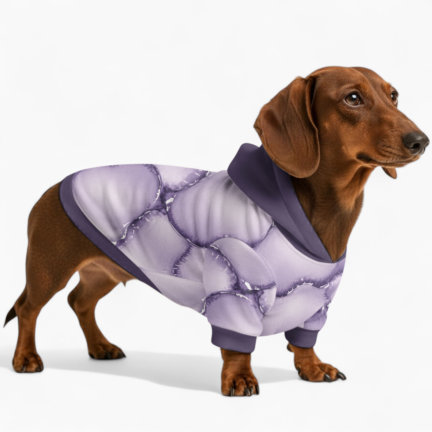 Demi - Dachshund hoodie