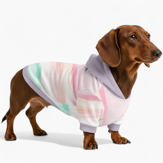 Dixie - Dachshund hoodie