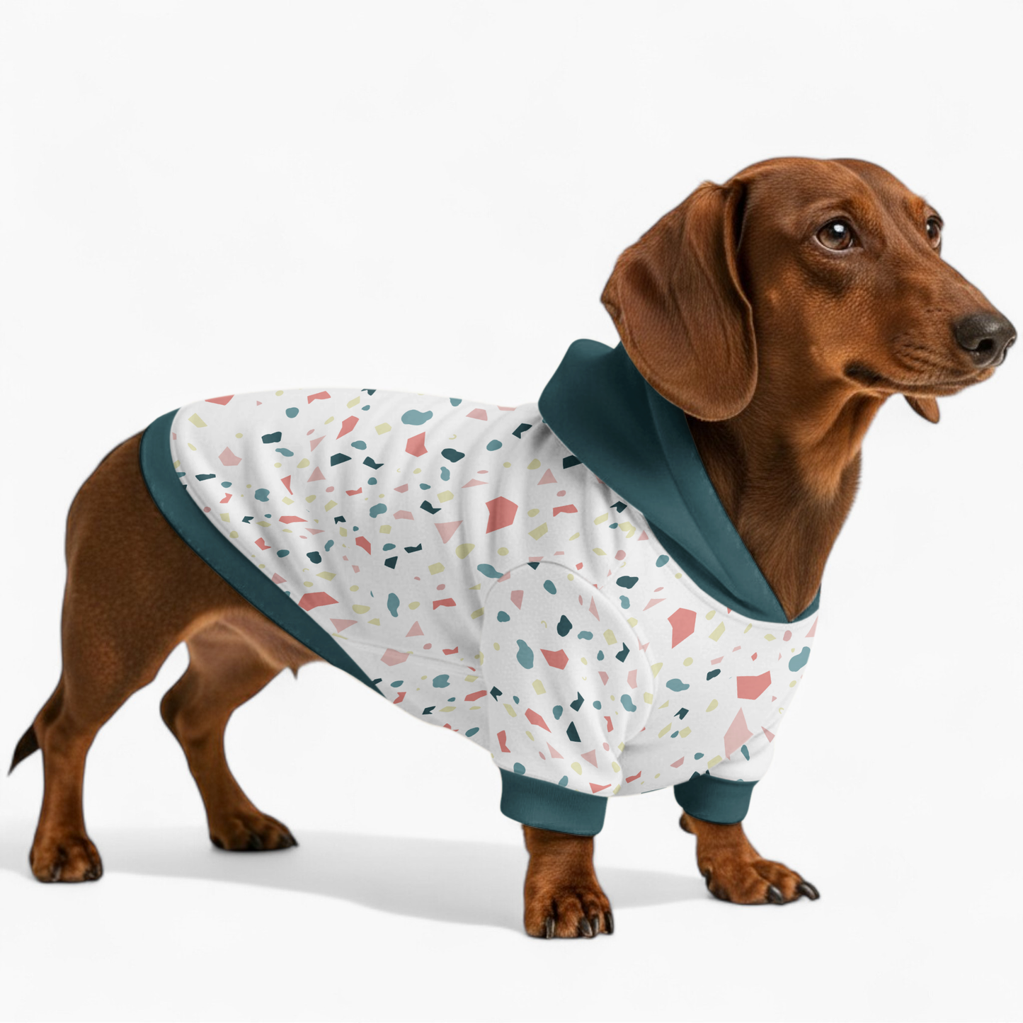 Elana - Dachshund hoodie