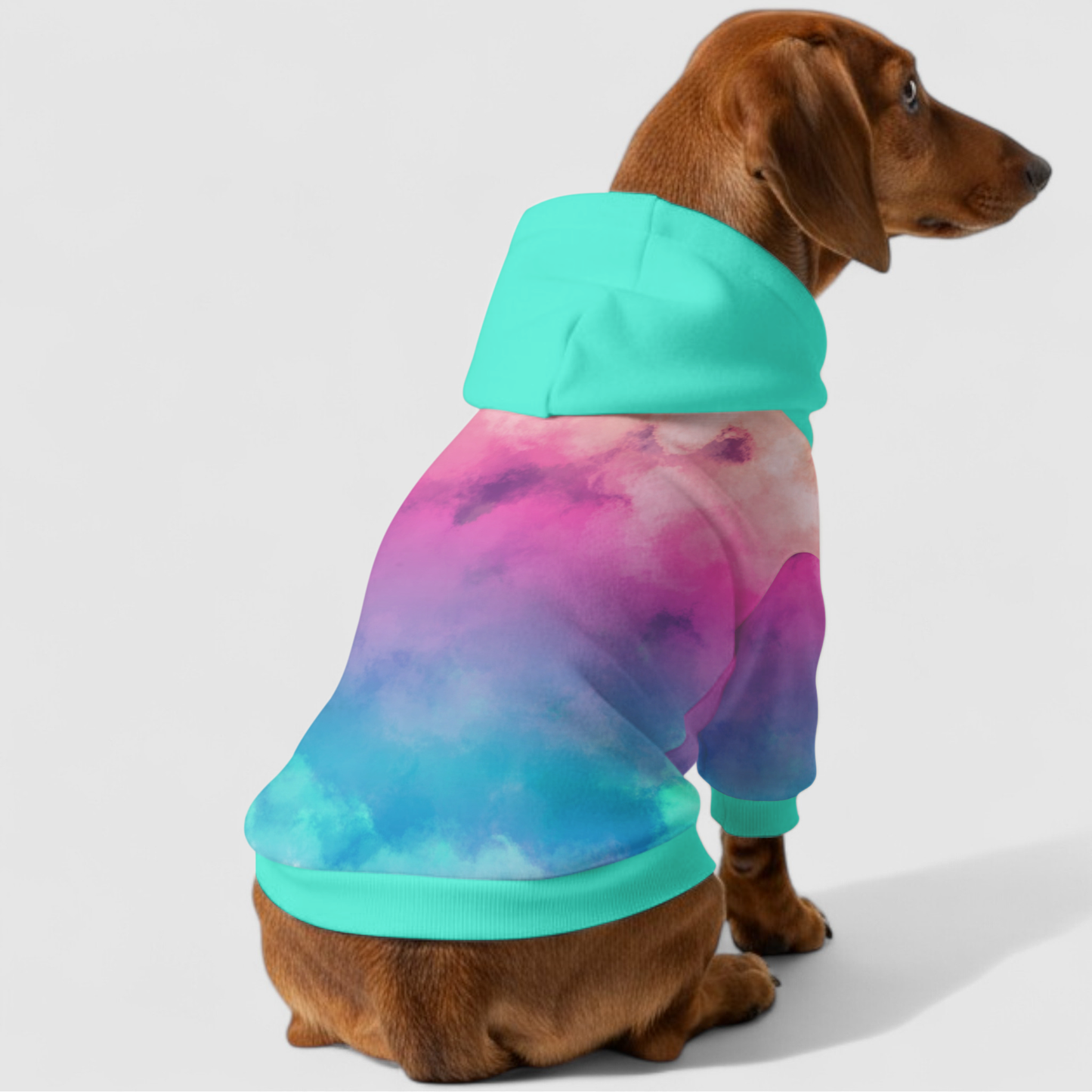 Dora - Dachshund hoodie