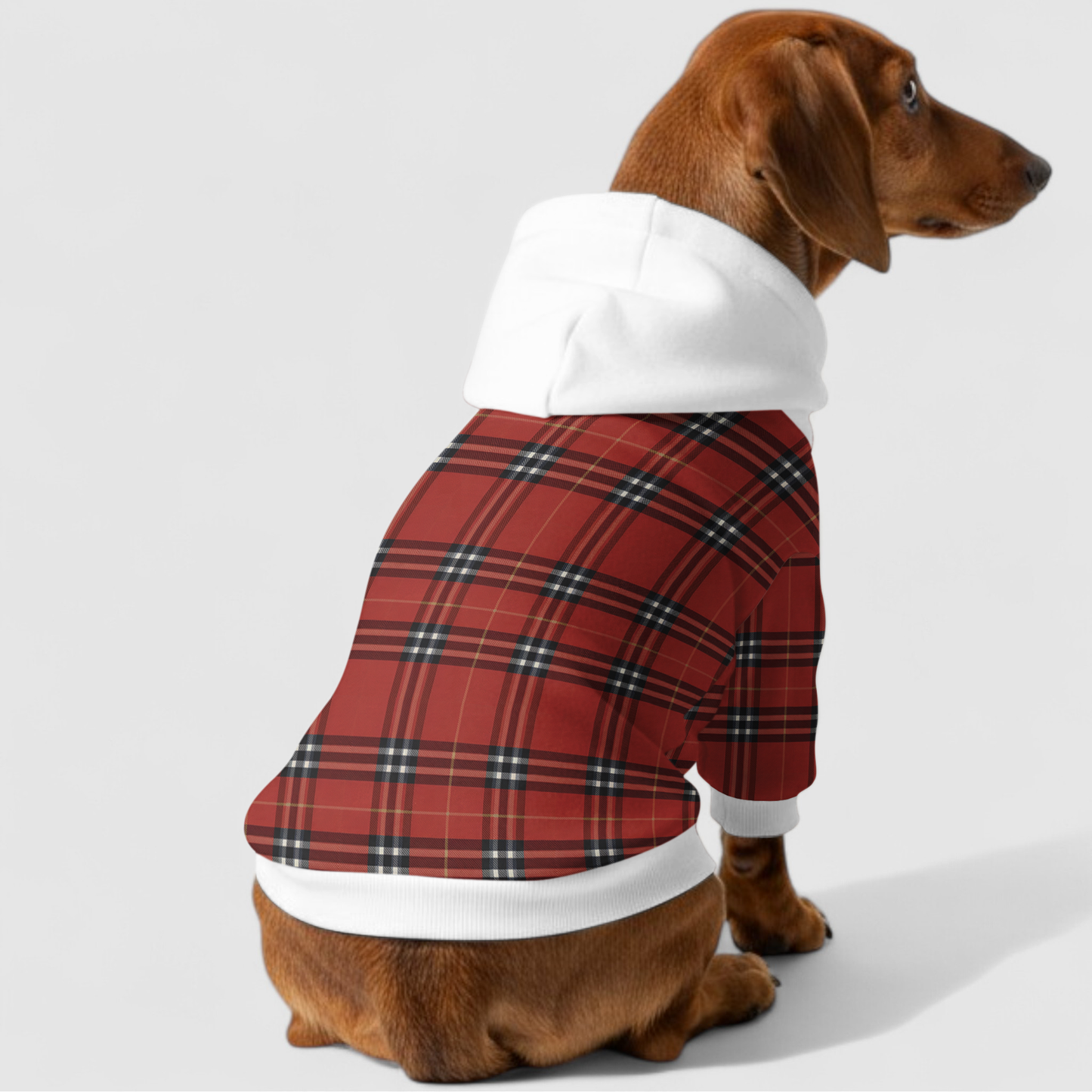 Ella - Dachshund hoodie