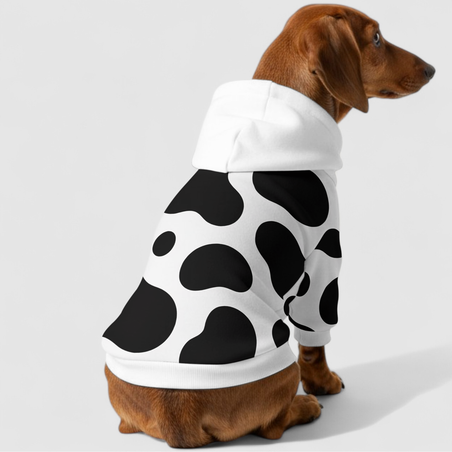 Kiki - Dachshund hoodie