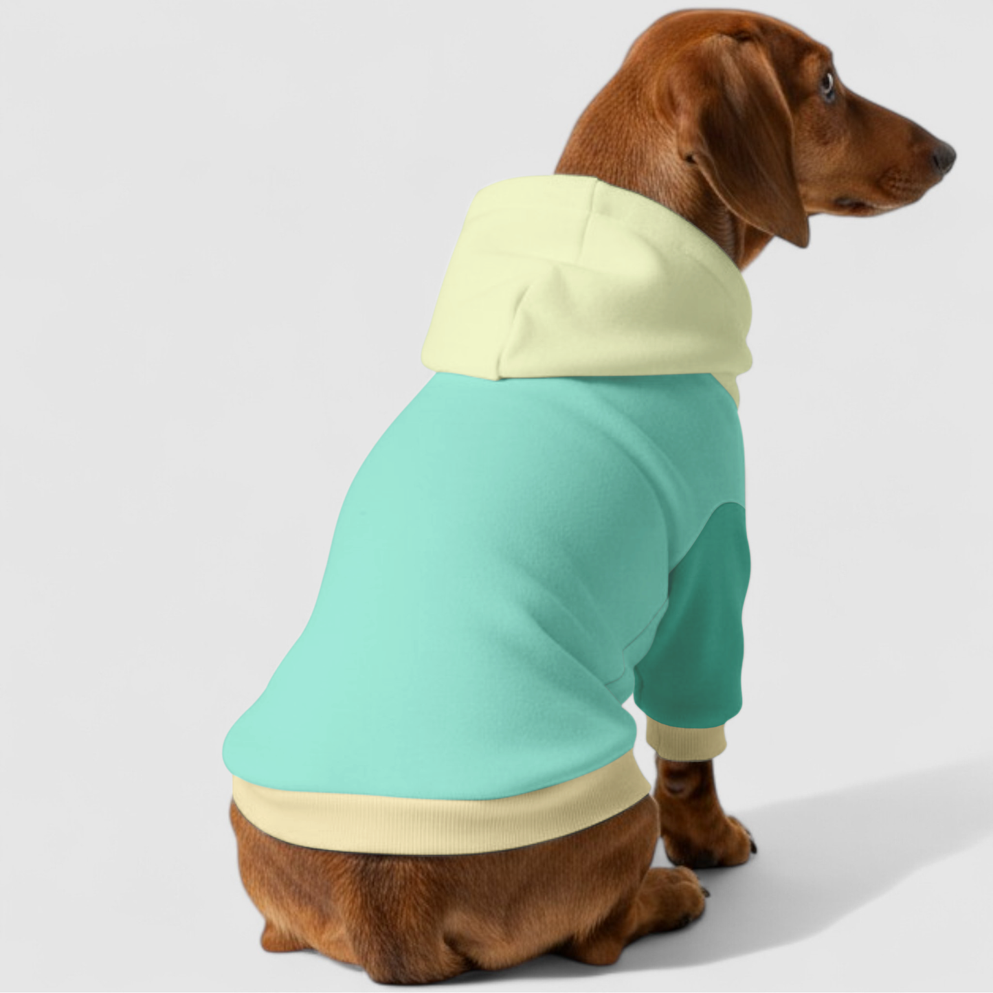 Koko - Dachshund hoodie