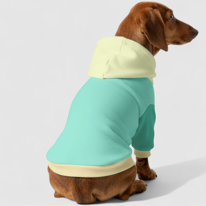 Koko - Dachshund hoodie