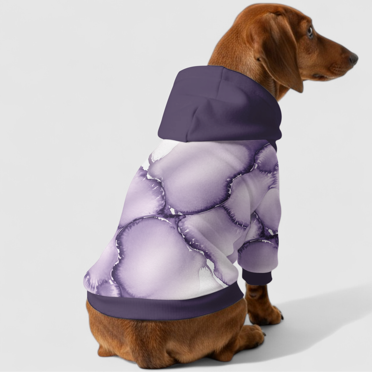 Demi - Dachshund hoodie