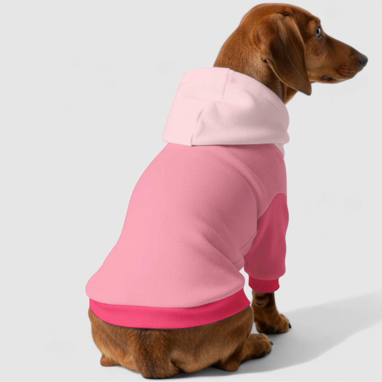 Lady - Dachshund hoodie