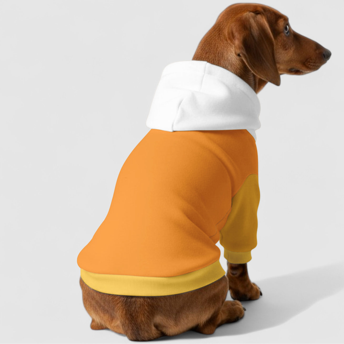 Laura - Dachshund hoodie