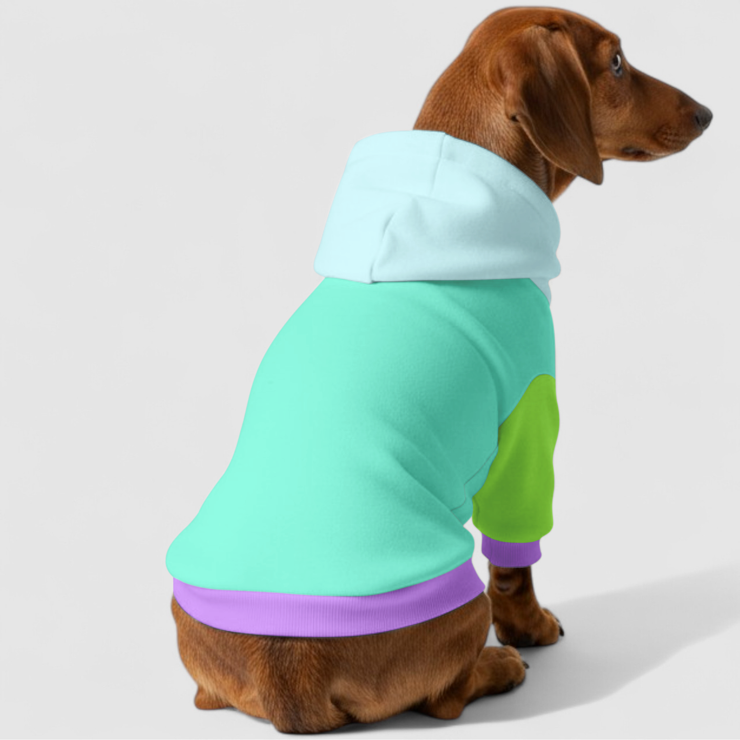 Lexi - Dachshund hoodie