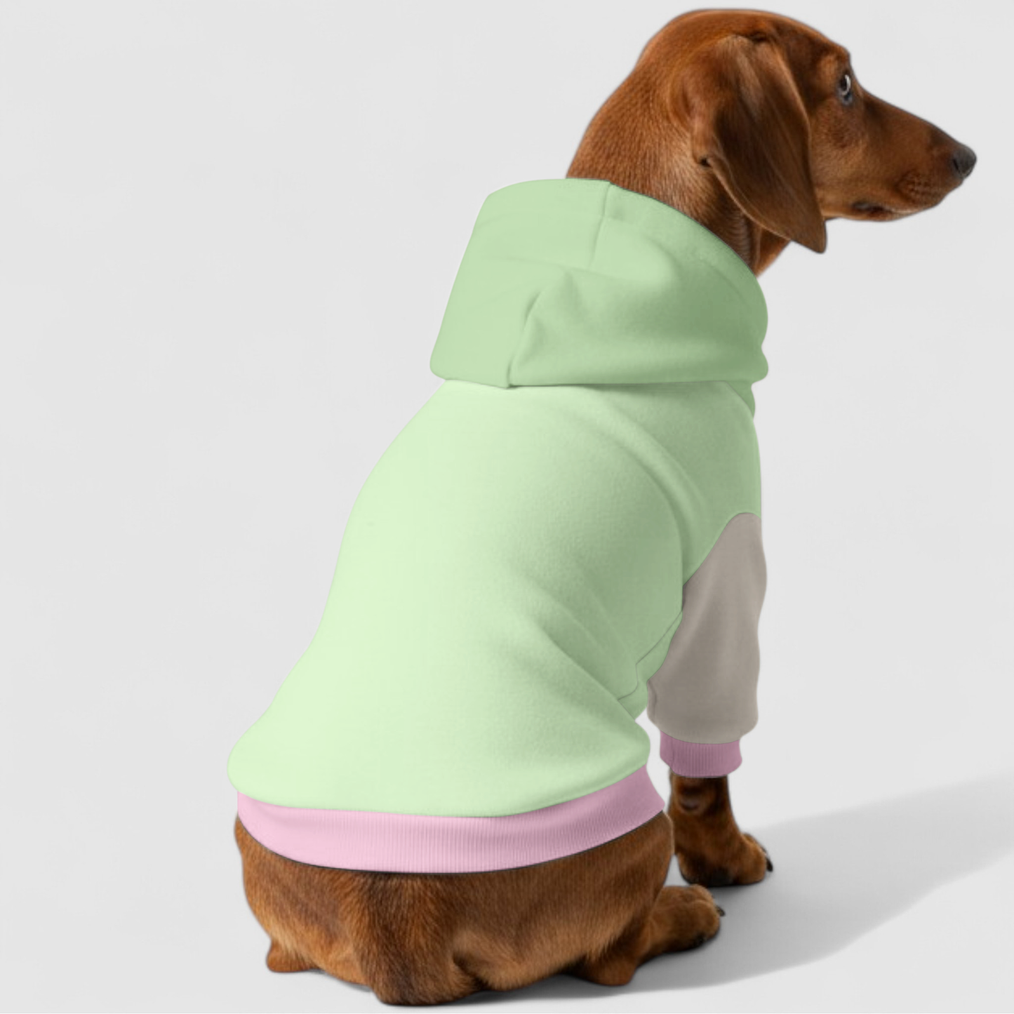Lily - Dachshund hoodie