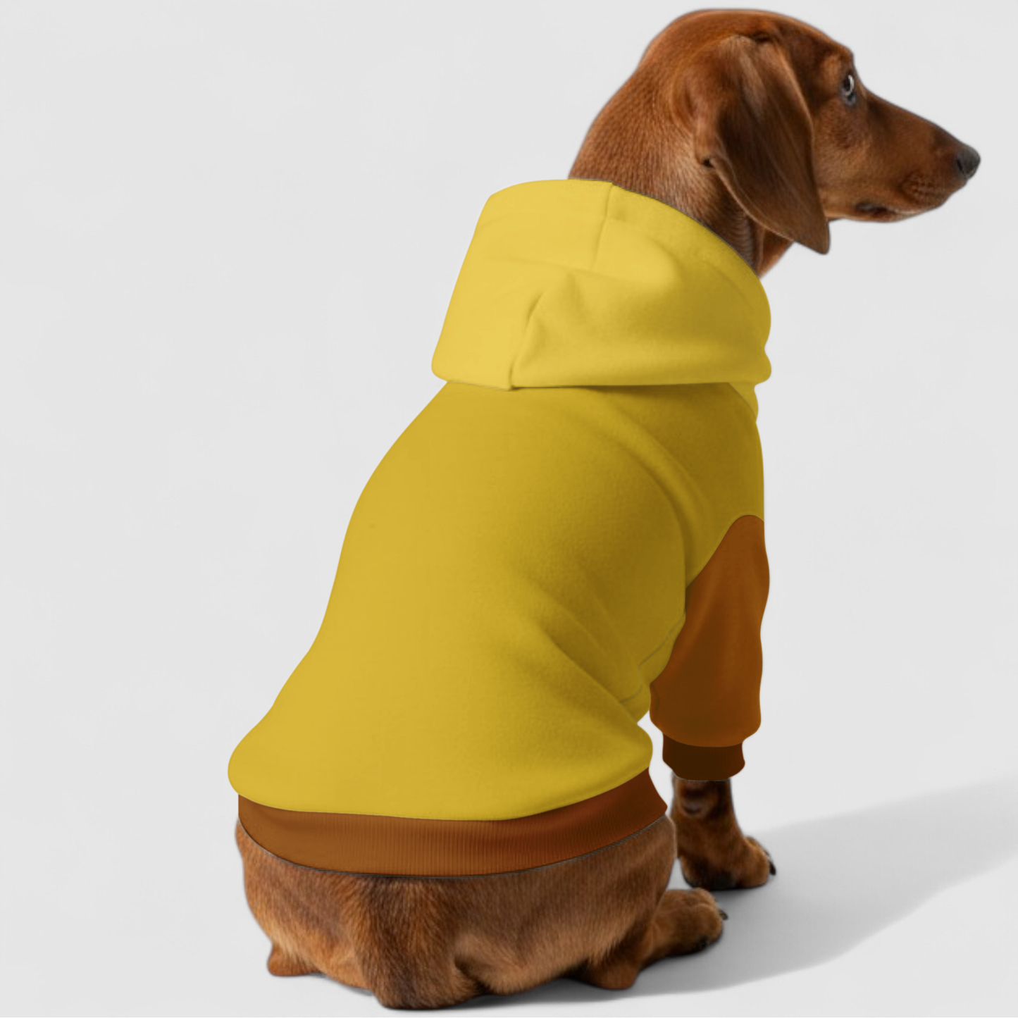Lizzy - Dachshund hoodie