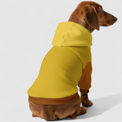 Lizzy - Dachshund hoodie