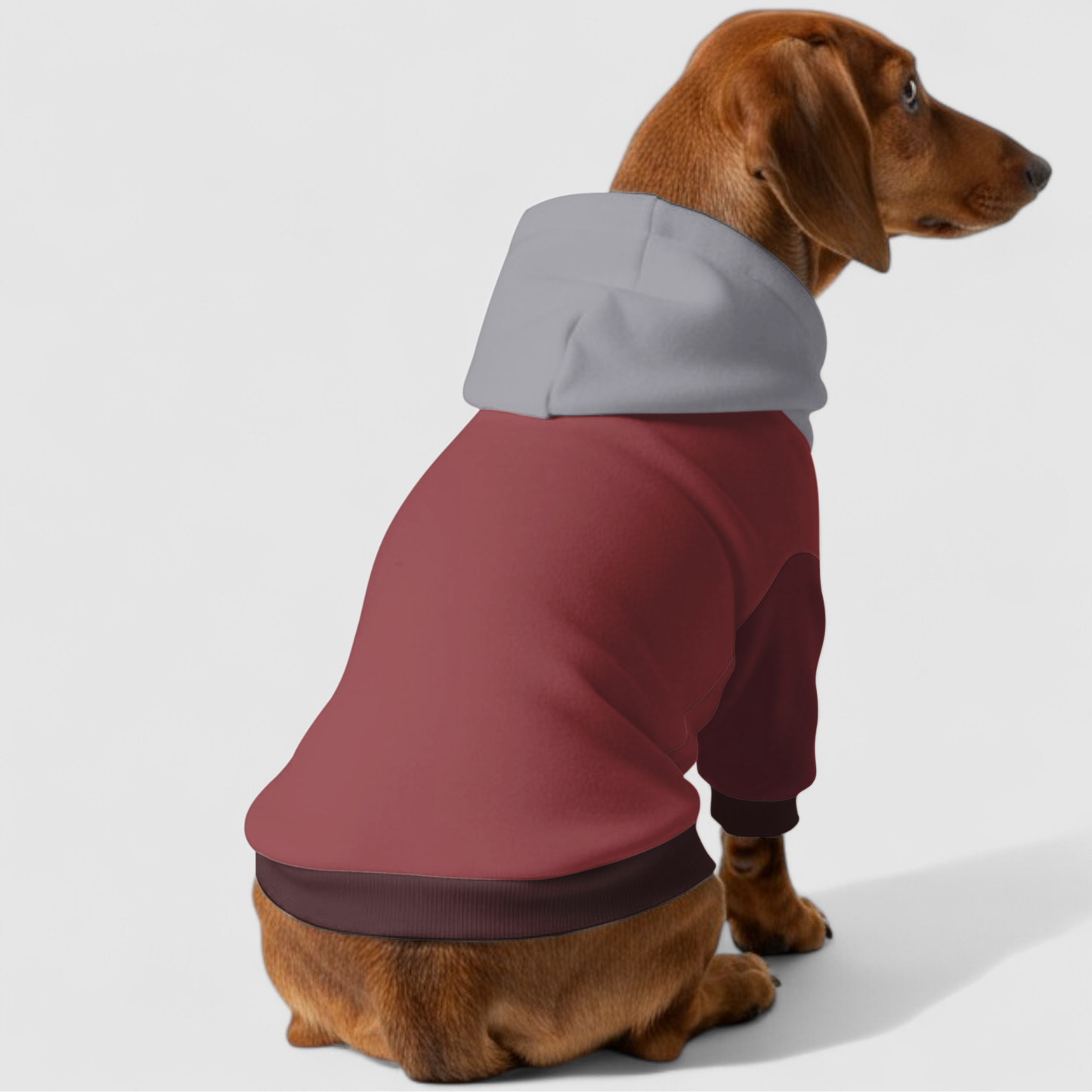Lola - Dachshund hoodie