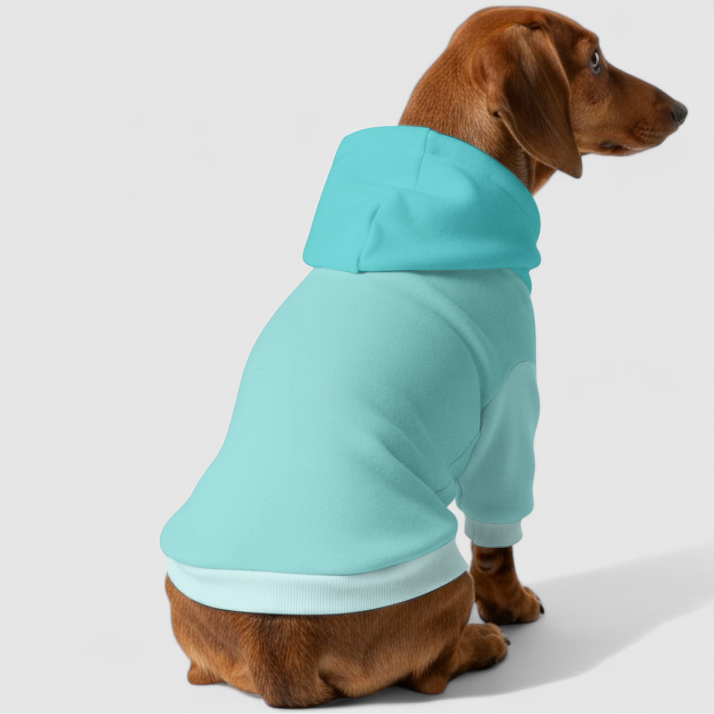 Mika - Dachshund hoodie