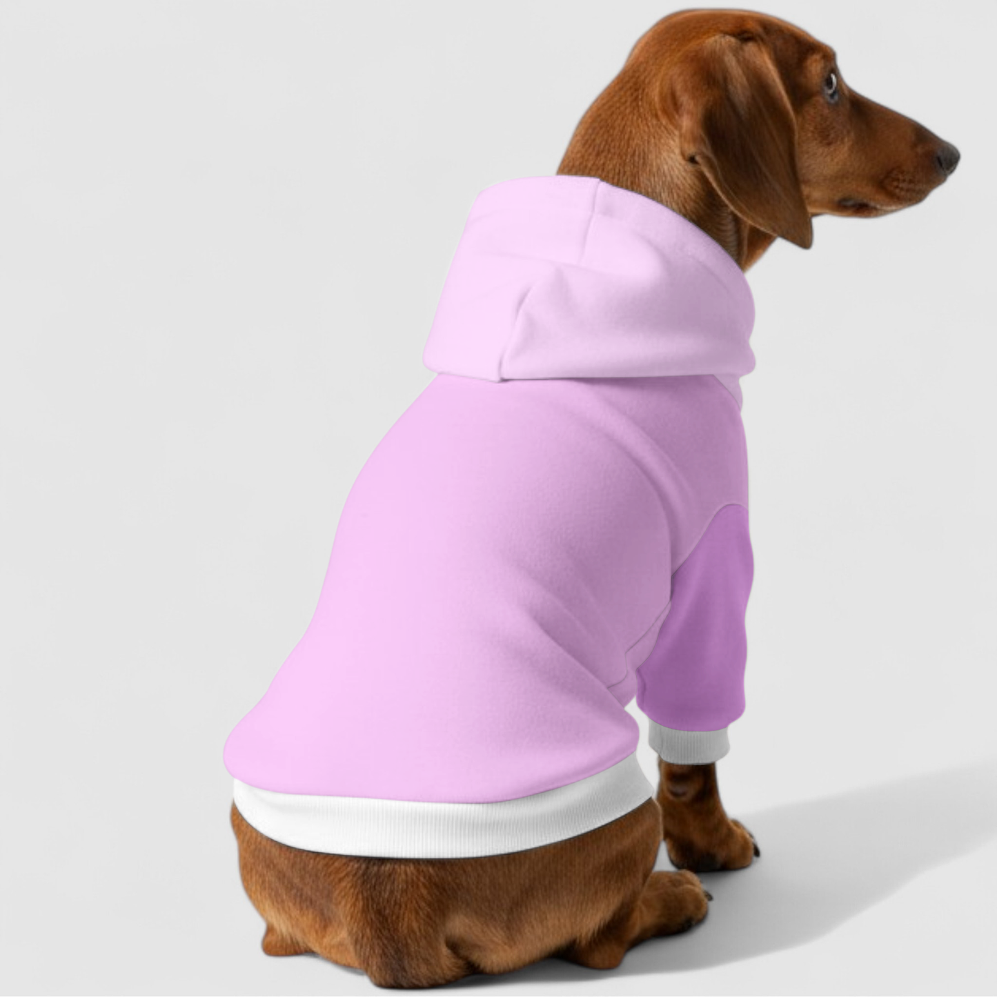 Nikita - Dachshund hoodie