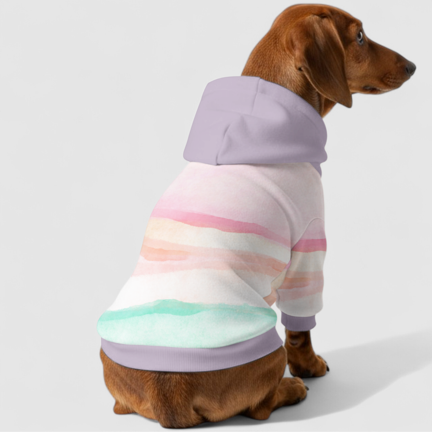 Dixie - Dachshund hoodie