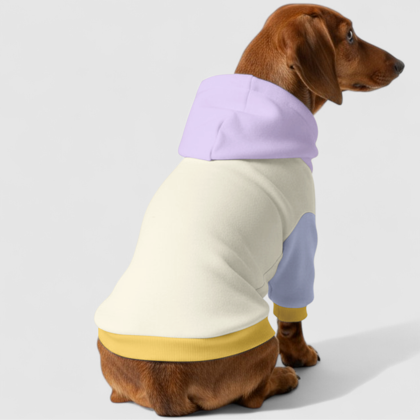 Nikki - Dachshund hoodie